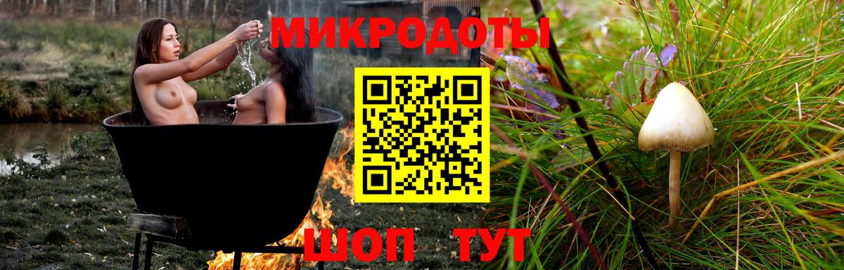 Псилоцибиновые грибы Cubensis  Вход с VPN  Новочеркасск 