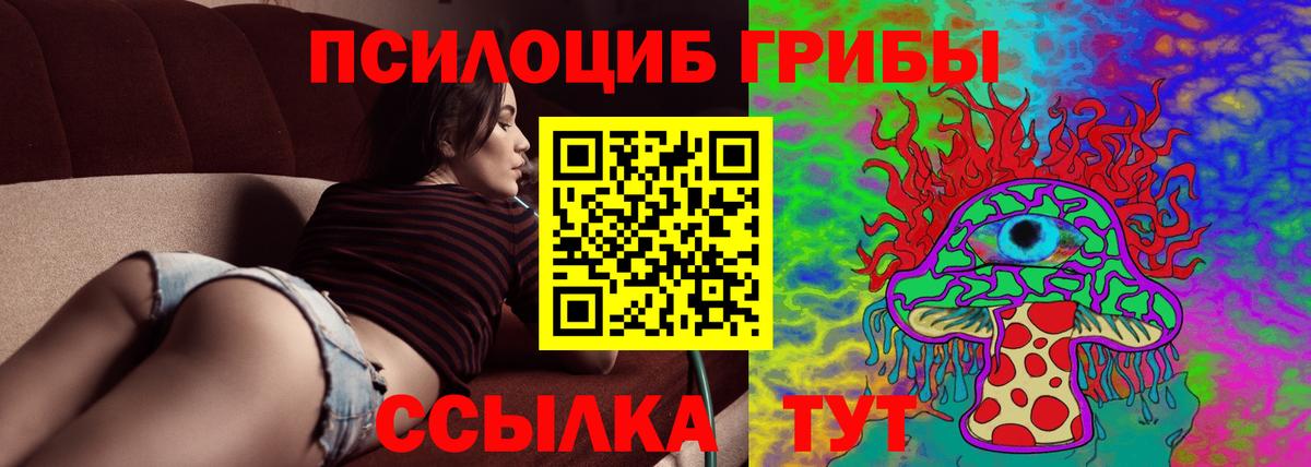 Галлюциногенные грибы Psilocybine cubensis Новочеркасск